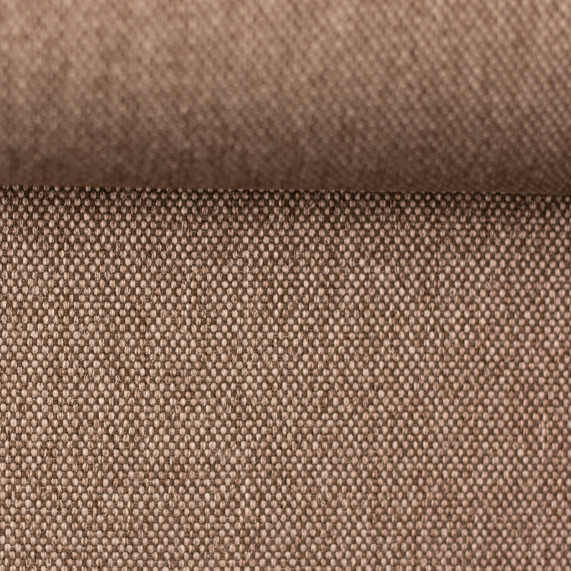 Rom, Meleret Camel Rom, Meleret Camel