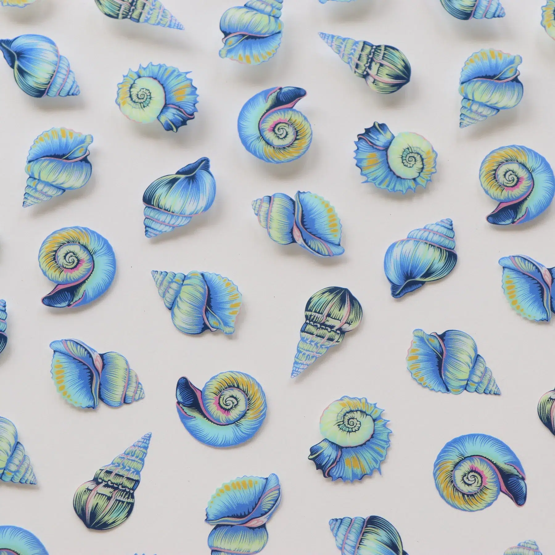 Klar vinylark m/print (18"x25") - "Lil' Shelly" (Floral Reef) Klar vinylark m/print (18"x25") - "Lil' Shelly" (Floral Reef)